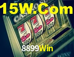 Premium Interface 8899Win