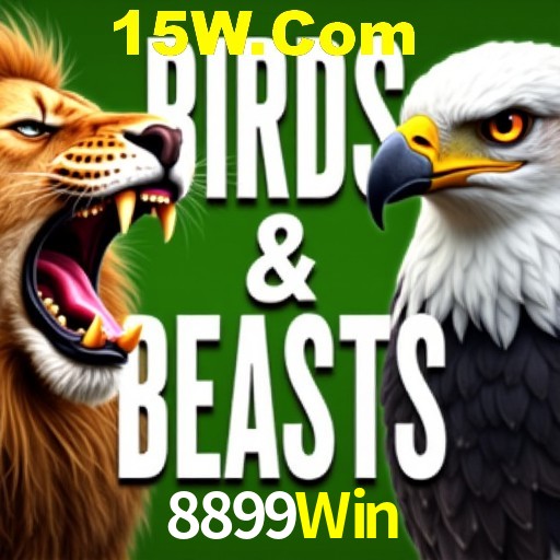 Estatísticas Esportivas 8899Win